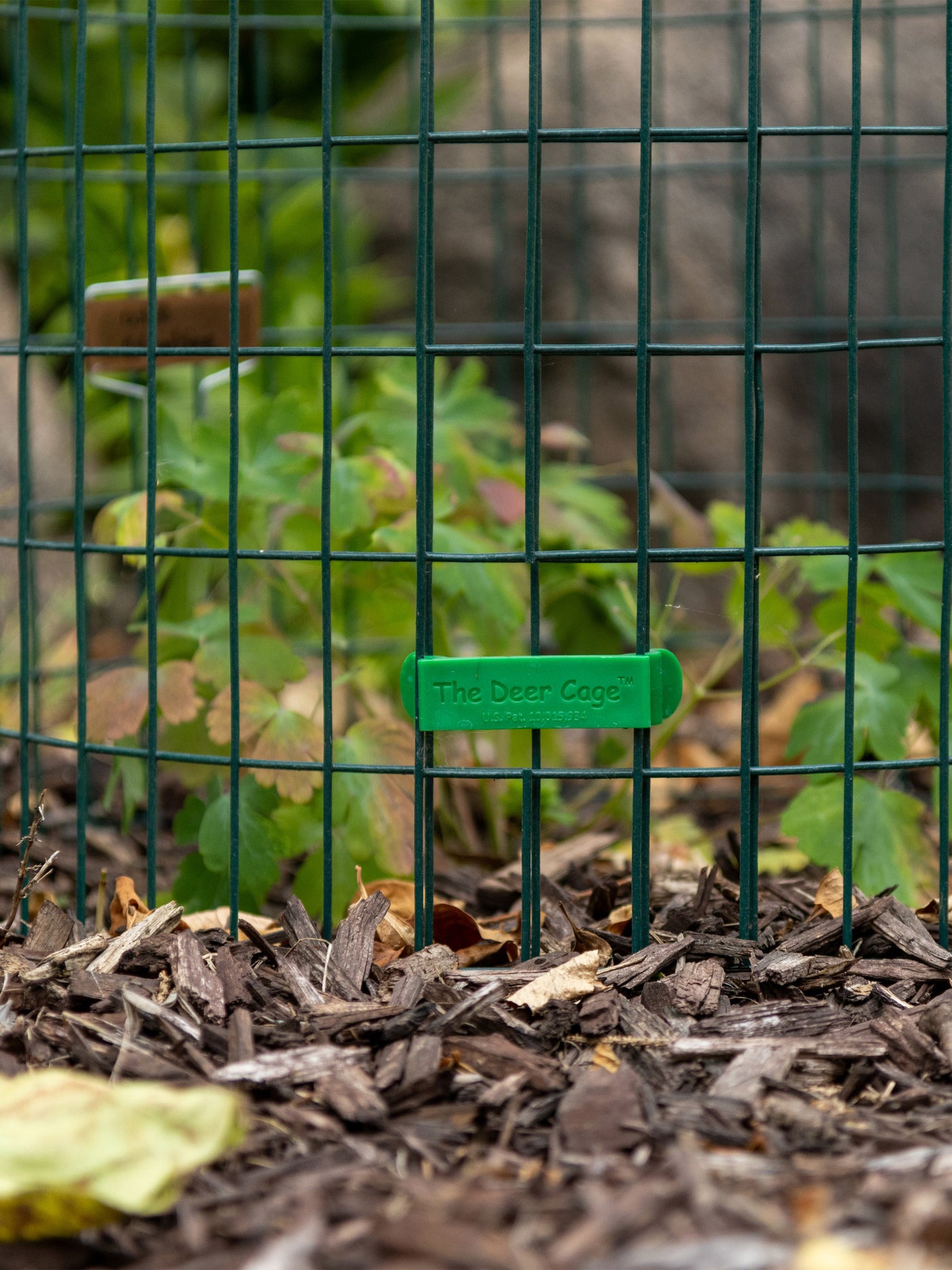 Our Rabbit Cages utilize the same Deer Clips used on our effective Deer Cages. 