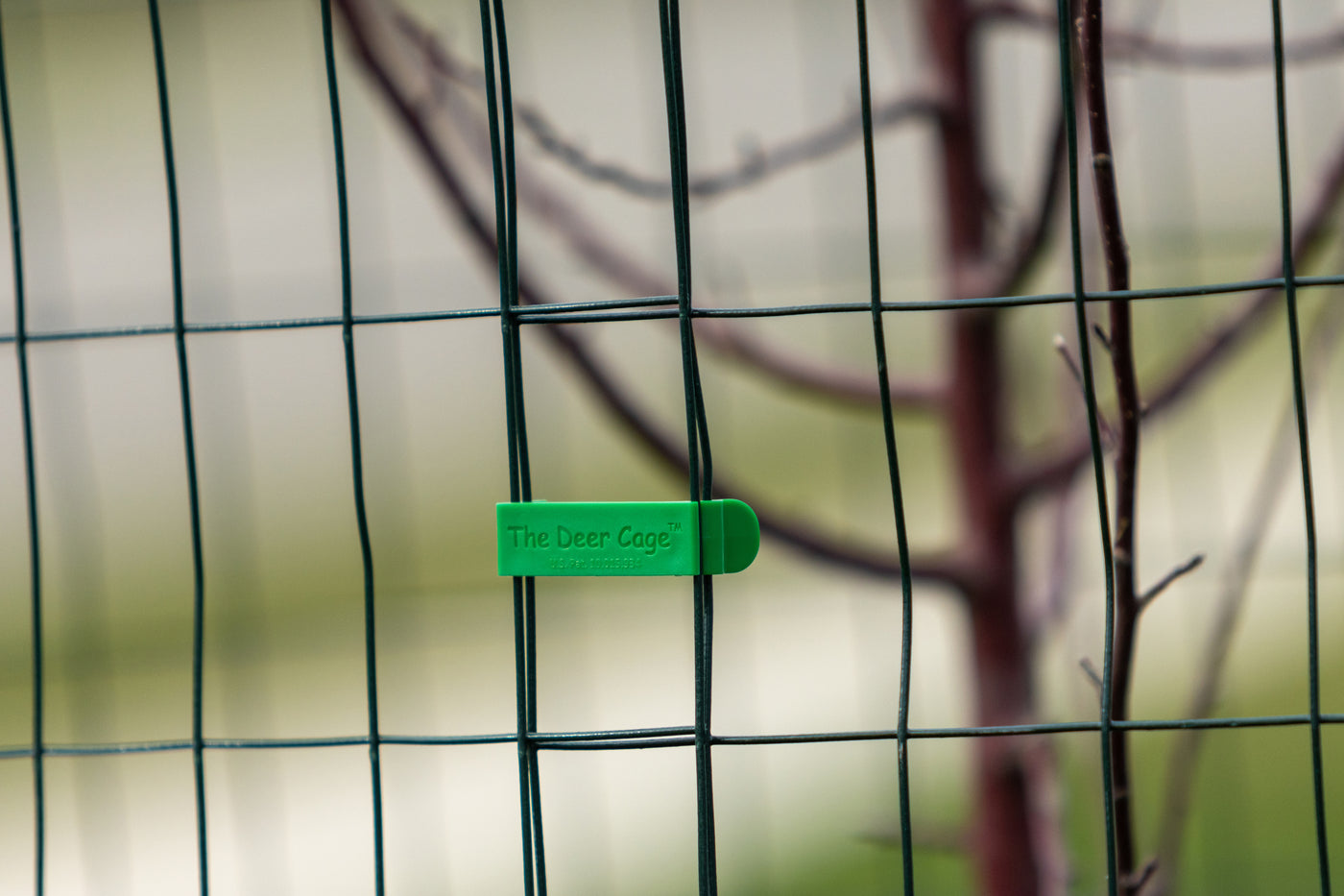 Close up view of the Deer Cage Clip.