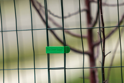 Close up view of the Deer Cage Clip.