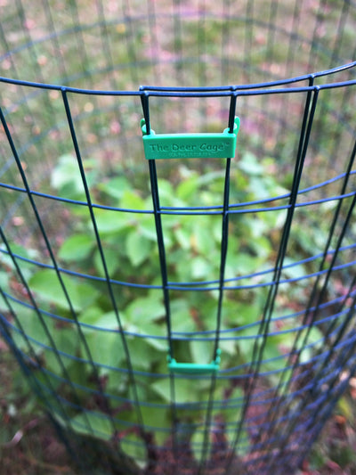 Deer Cage - Standard