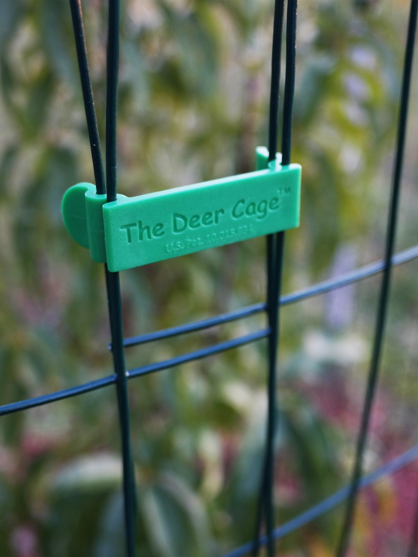 The Deer Cage