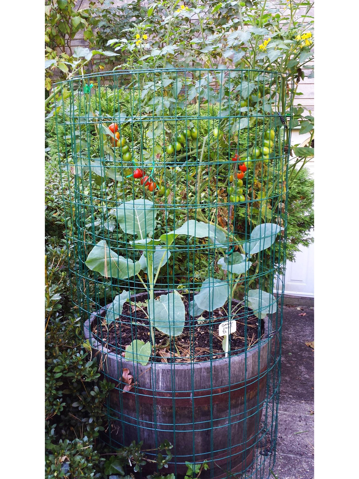 The Deer Cage