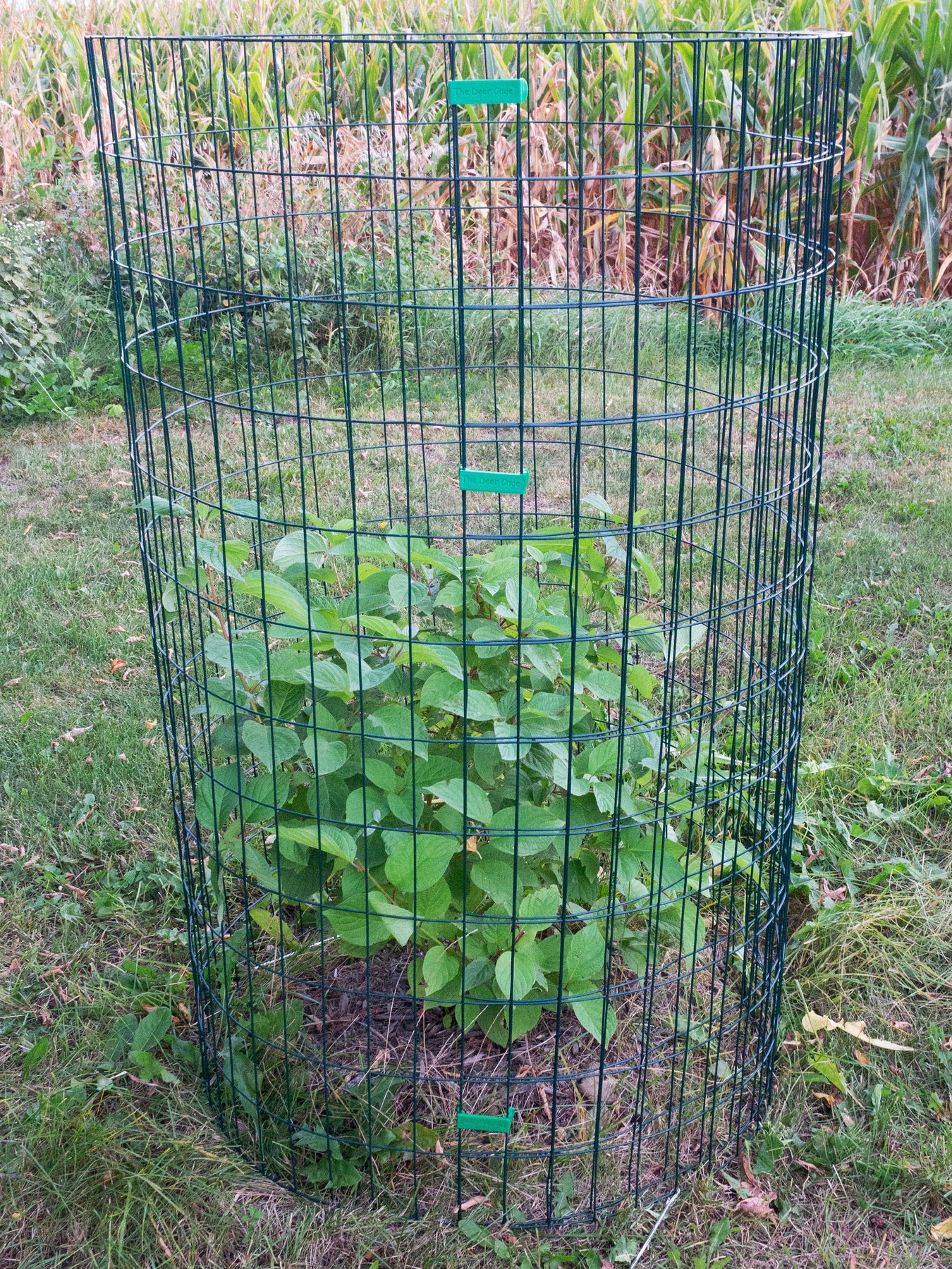 Deer Cage Plant Protection Wildlife Barrier Easy To Use The deer-cage-plant-protection-wildlife-barrier-easy-to-use-the