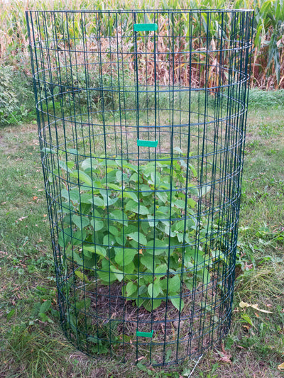The Deer Cage