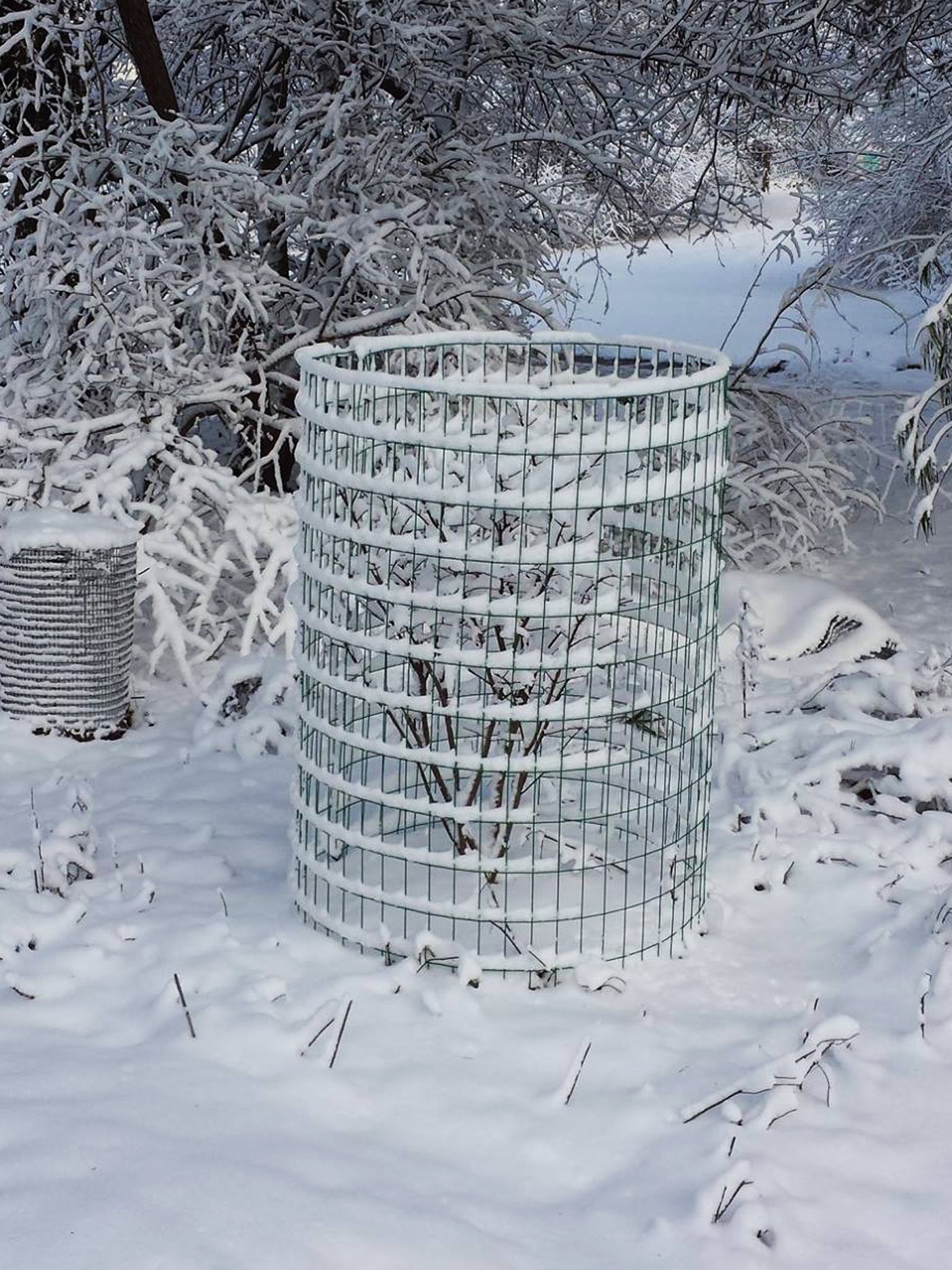 The Deer Cage