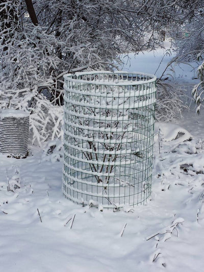The Deer Cage