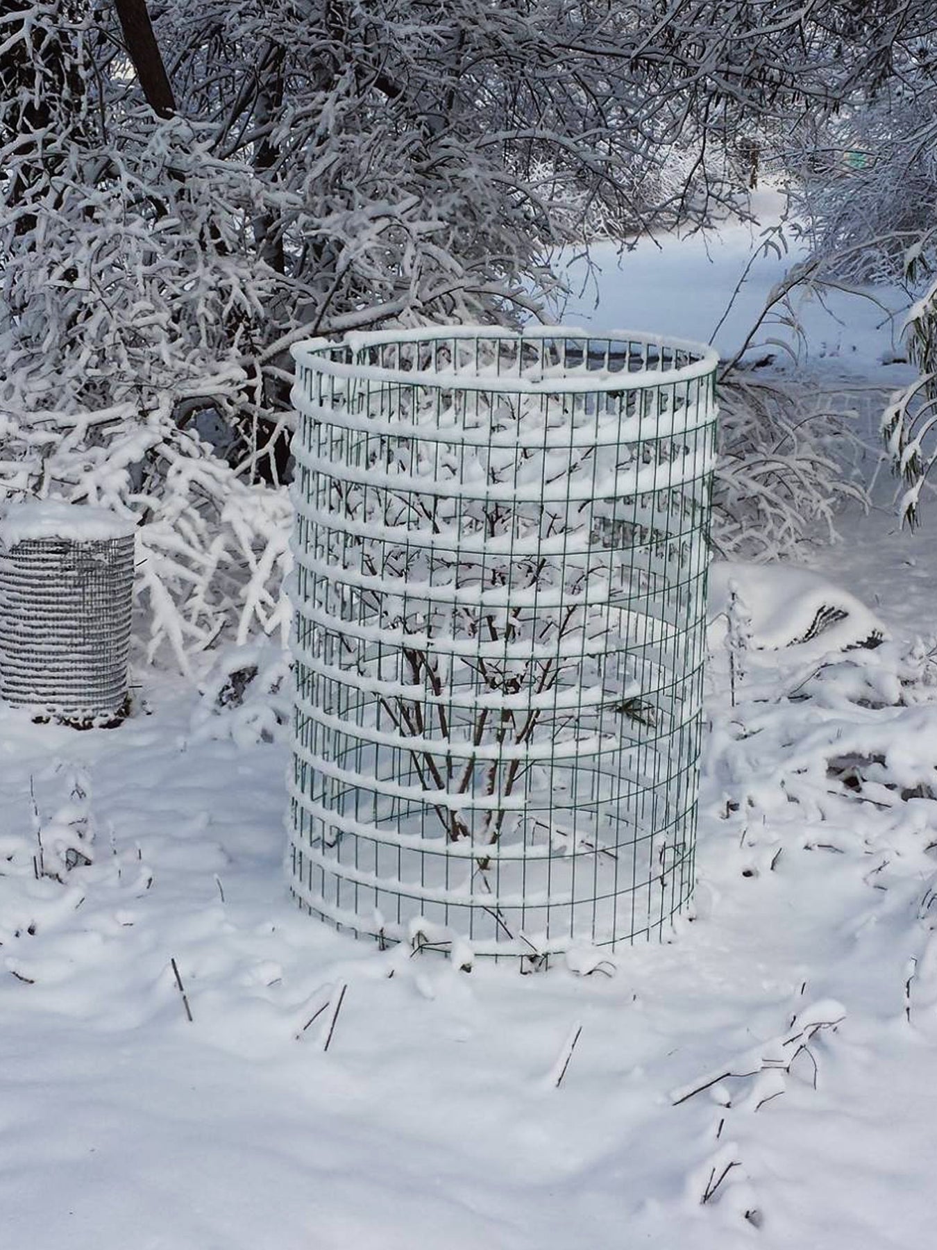 Deer Cage | Plant Protection | Wildlife Barrier | Easy To Use – The ...